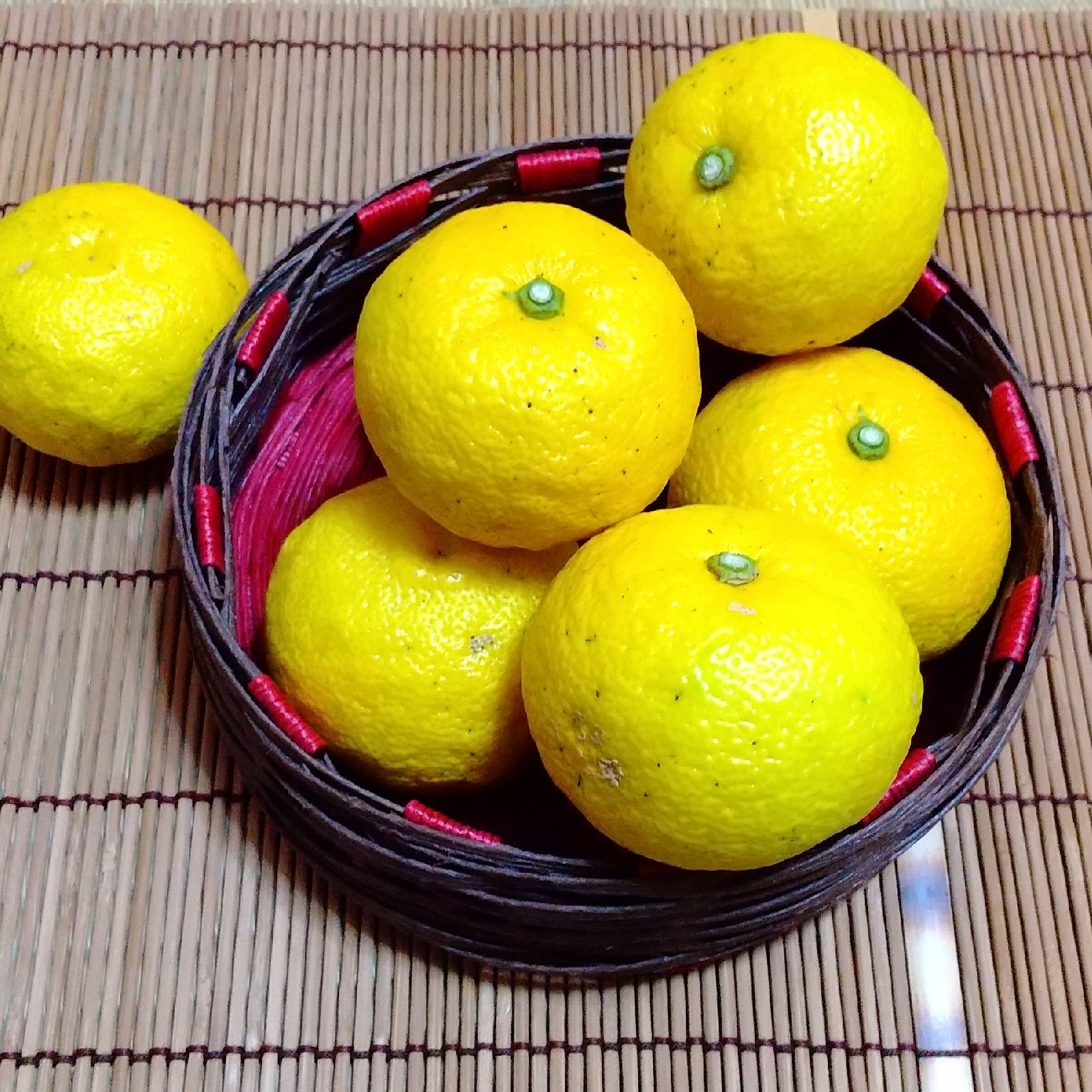 本柚子4kg /10月下旬より販売します ｜ 果物/香酸柑橘(ライム