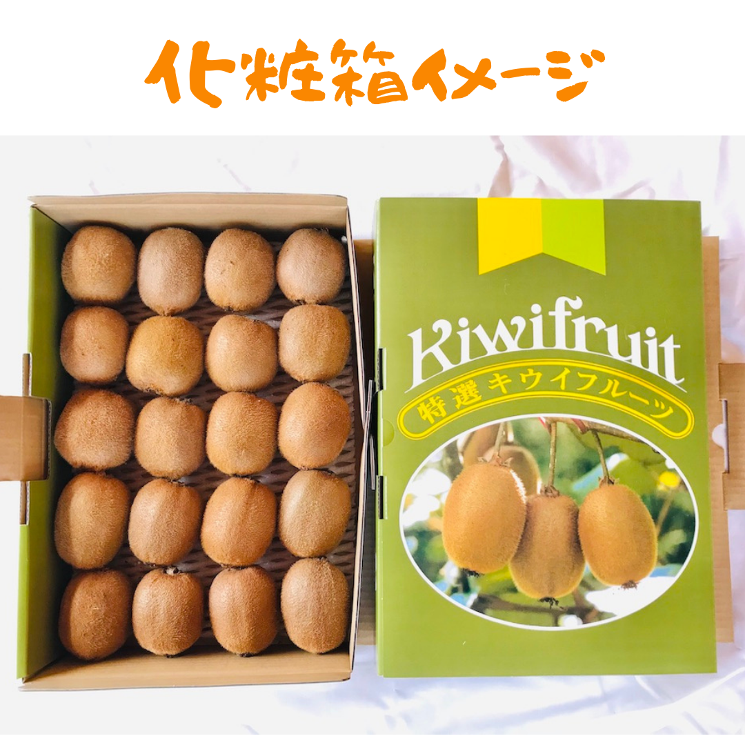 追熟済 平均糖度16度！甘くておいしいキウイフルーツ（小サイズ）2kg 