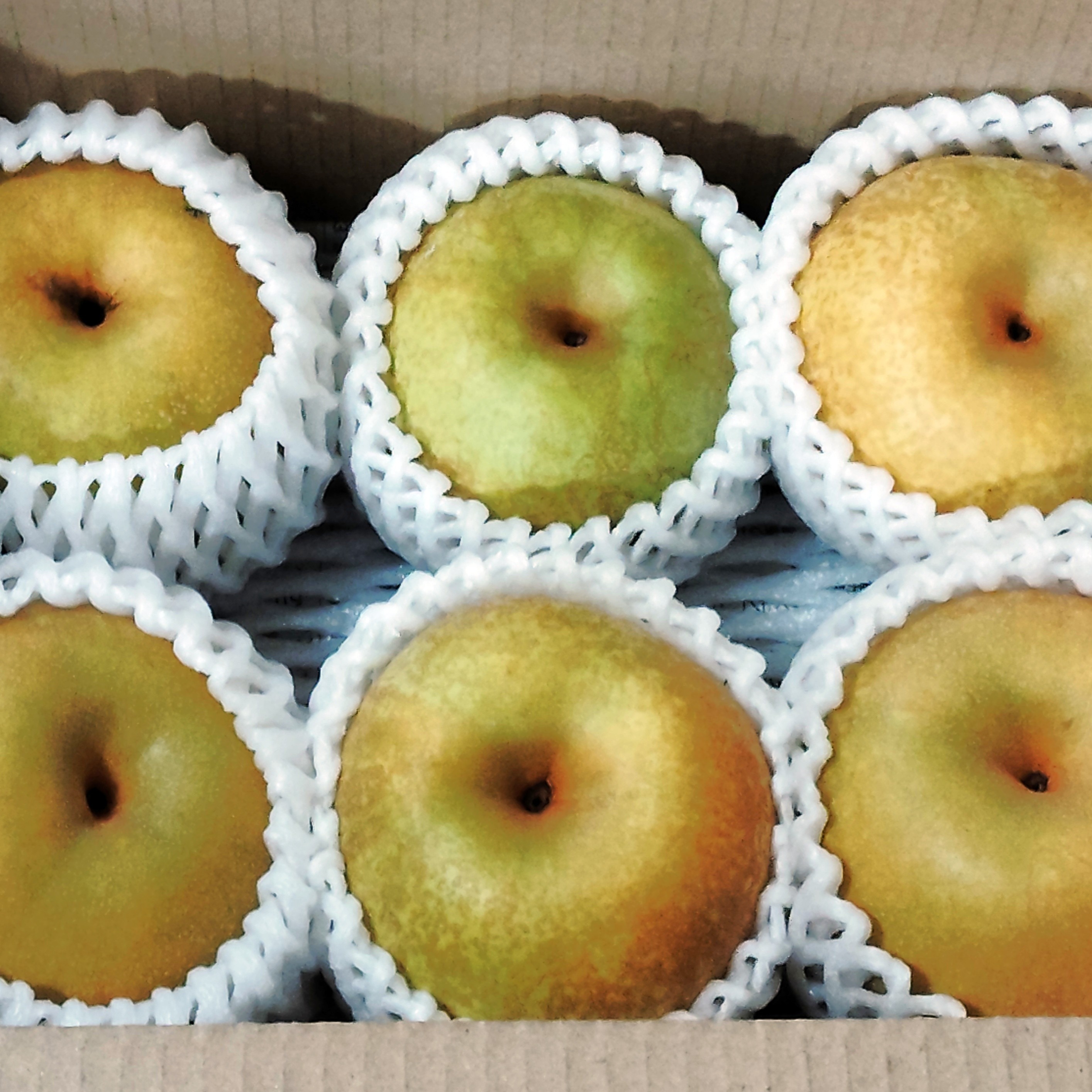 貴重品種・農薬節約栽培】和梨（長十郎）約1.5kg 1箱6～7玉 大きさ