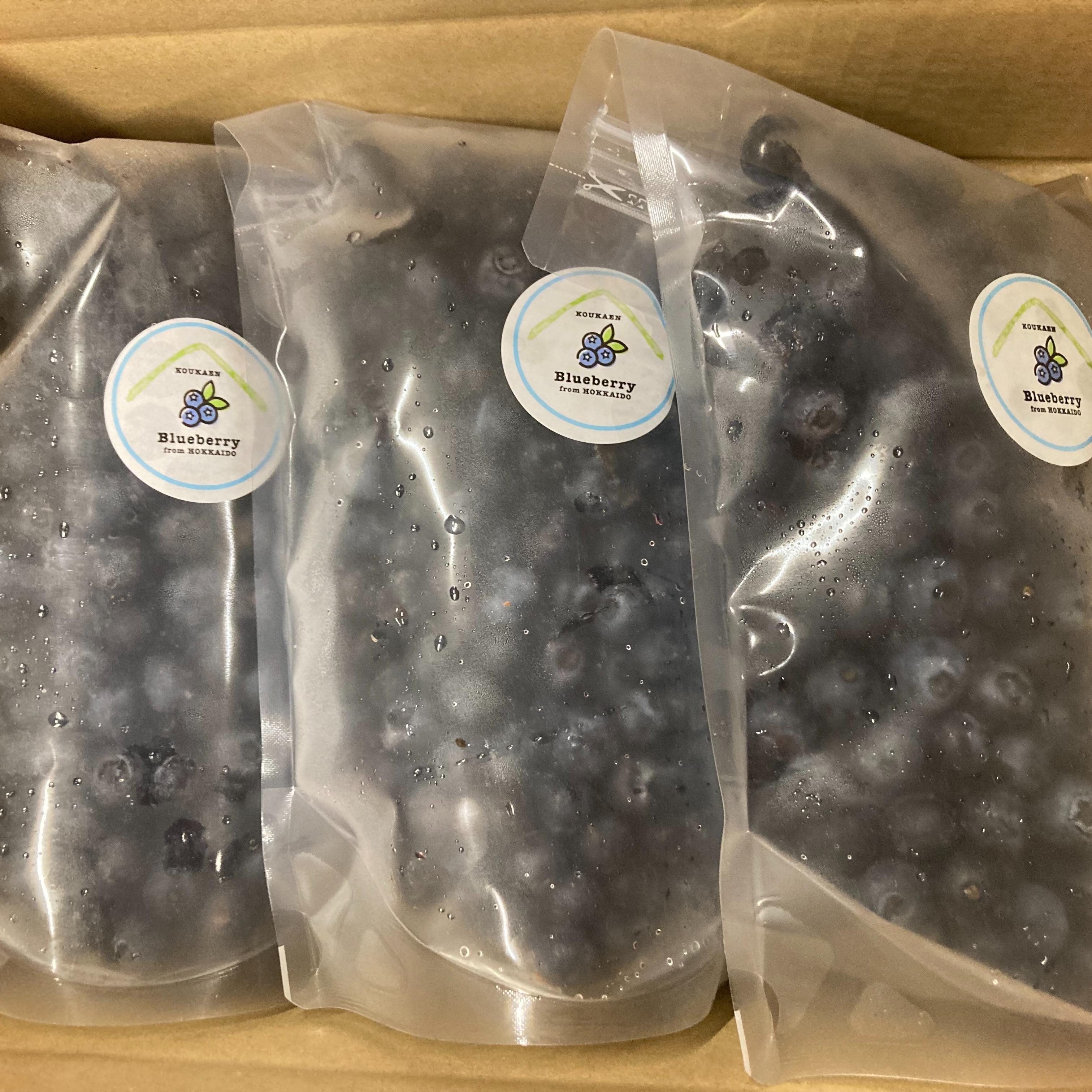 冷凍ブルーベリー1.5kg（500g×3） ｜ 果物/ベリー類 産直アウル 農家 