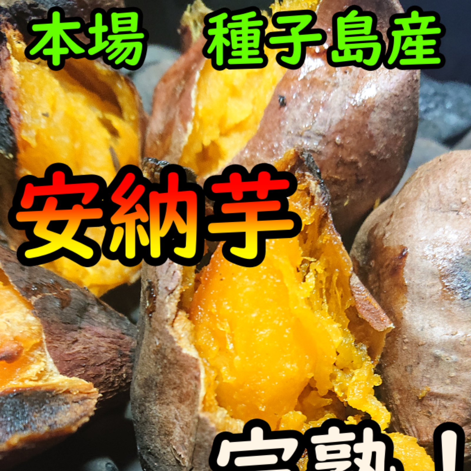 本場】完熟！ねっとり！安納芋紅2Lサイズ 訳アリ品 4.5キロ【種子島産】 野菜/さつまいも 産直アウル  農家から直接野菜などの食材を購入できる産地直送の宅配通販サイト