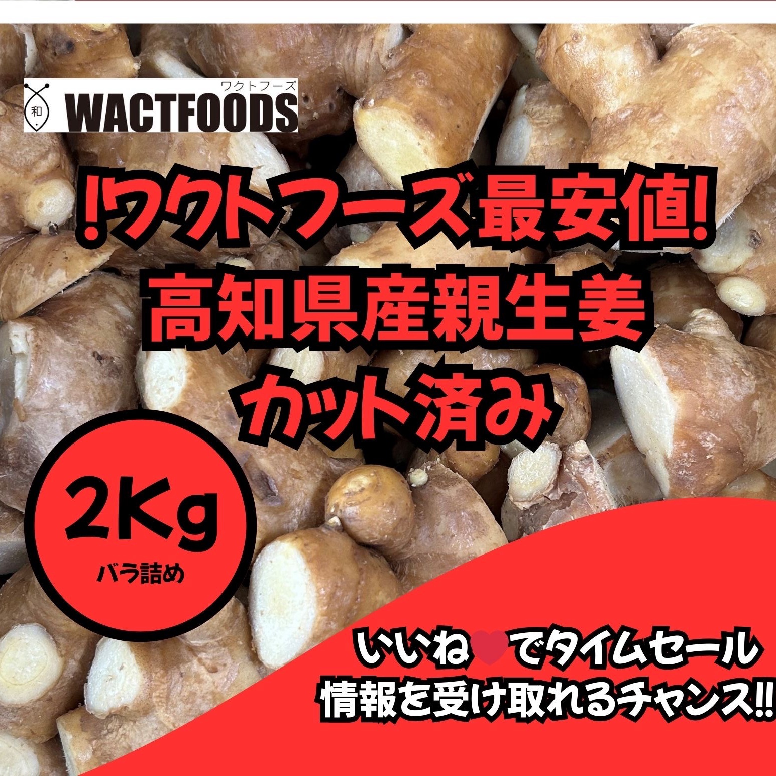 高知県産親生姜2Kg(カット済み) ｜ 野菜/薬味 産直アウル 農家・漁師