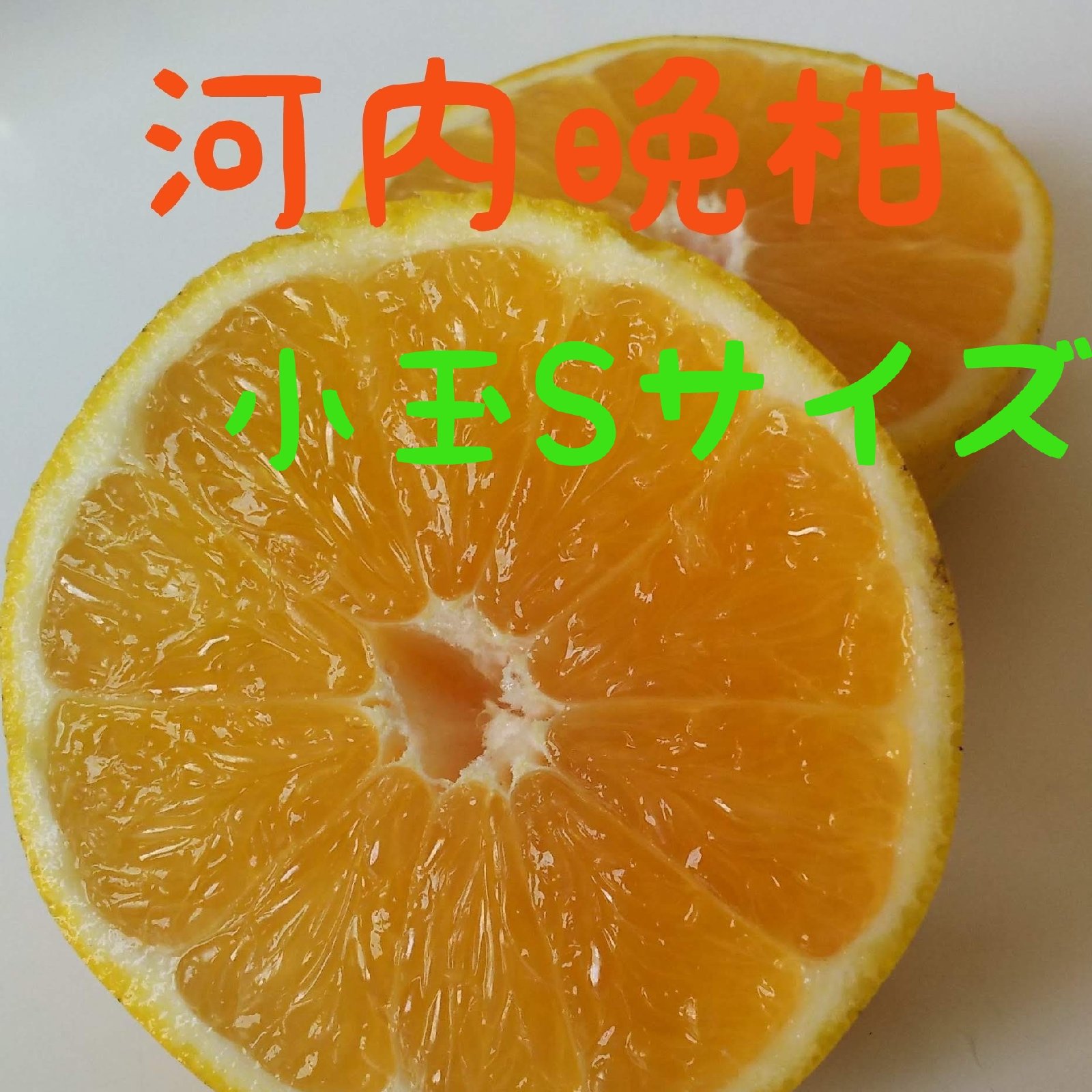 愛南ゴールド小玉Sサイズ10kg【訳あり】 ｜ 果物/オレンジ・その他