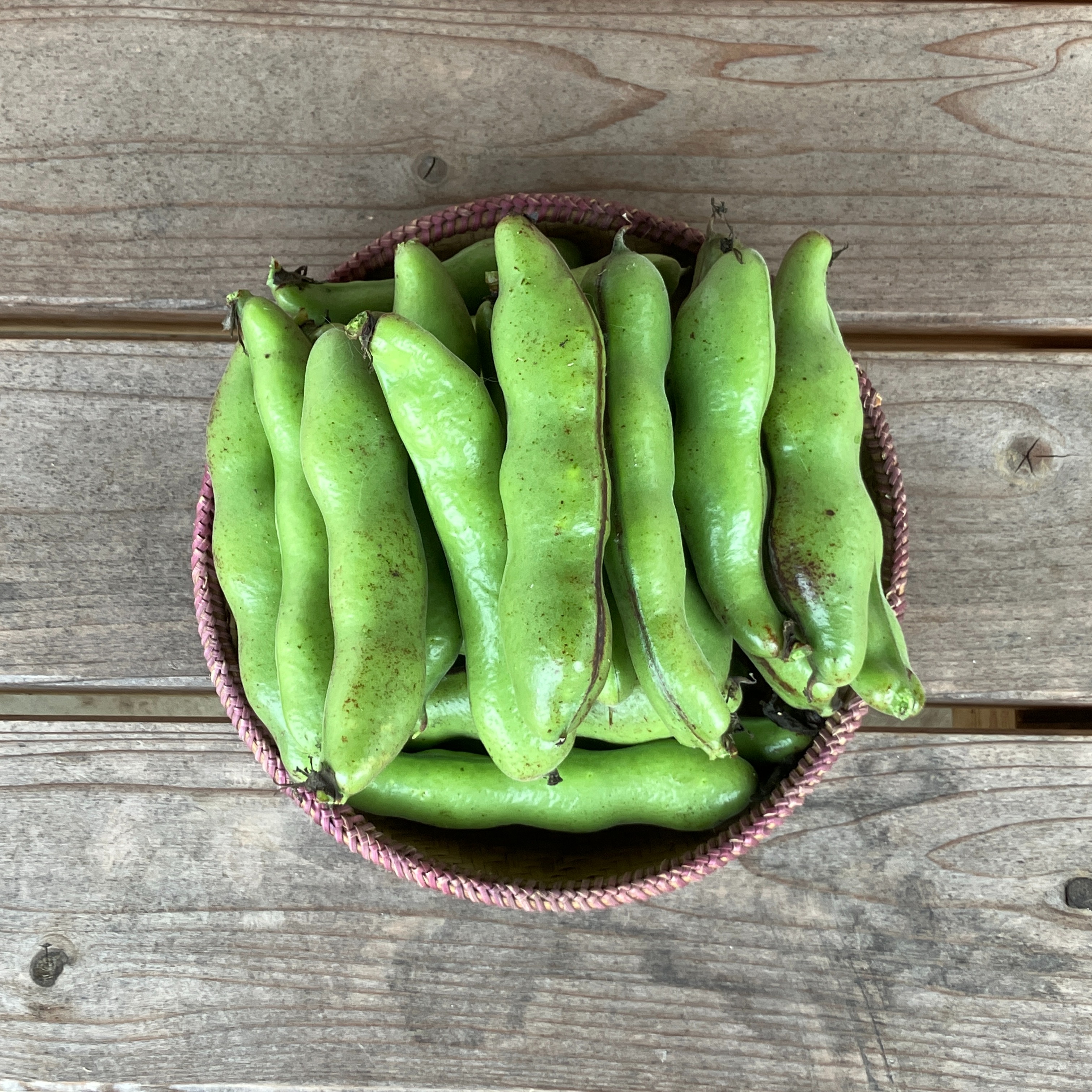そら豆 1kg ｜ 野菜/豆類 産直アウル 農家・漁師など生産者から直接