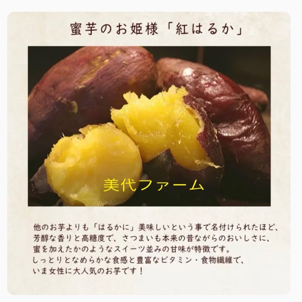 在庫残りわずか】蜜芋はるか A品 10kg 千葉県産 農家直送SMサイズ