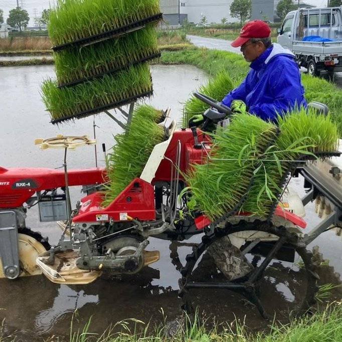 ⭐︎ゆたか 自然栽培 朝日米玄米30kg ⭐︎ゆたか様専用 自然栽培 朝日