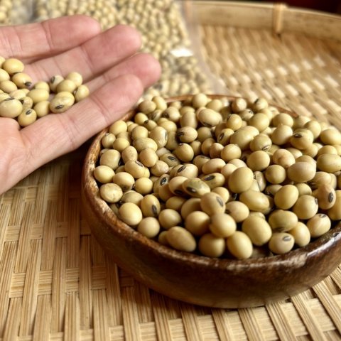 奥出雲産自然栽培八天狗豆 ｜ 野菜/豆類 産直アウル 農家・漁師など