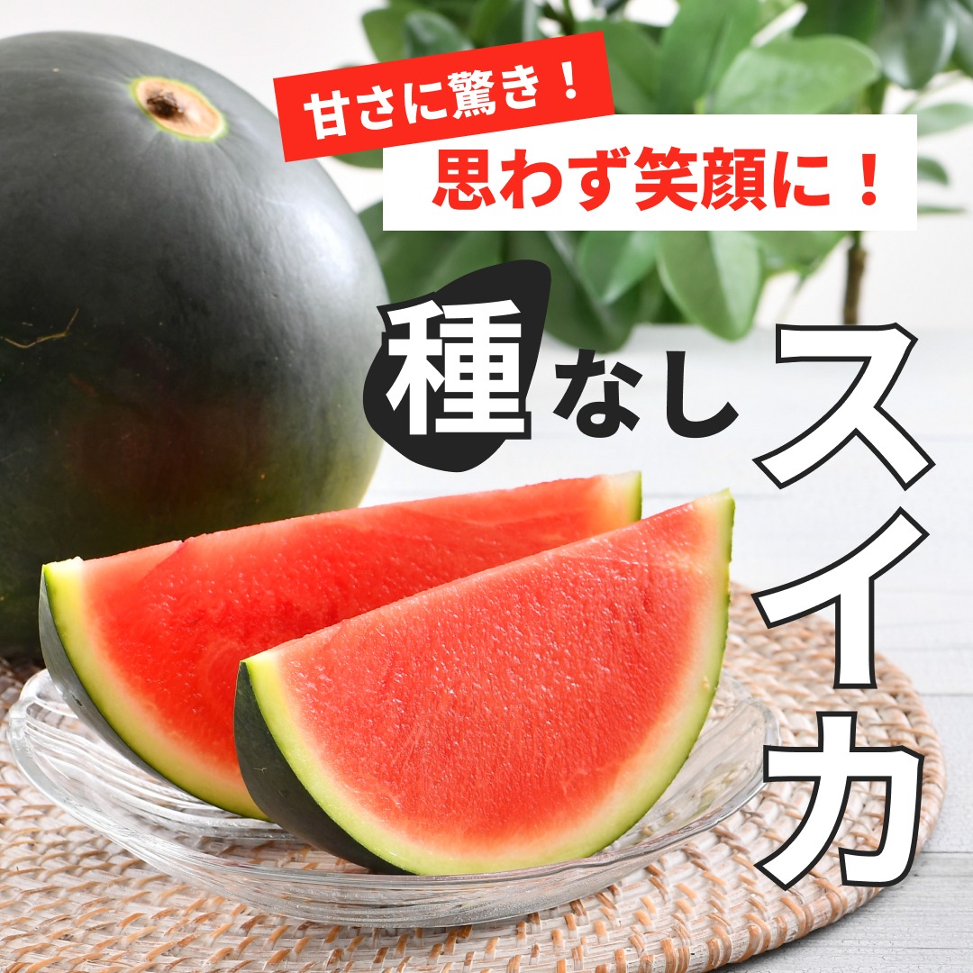 種無し　めちゃ甘い　スイカ　08 種無し めちゃ甘い スイカ 08