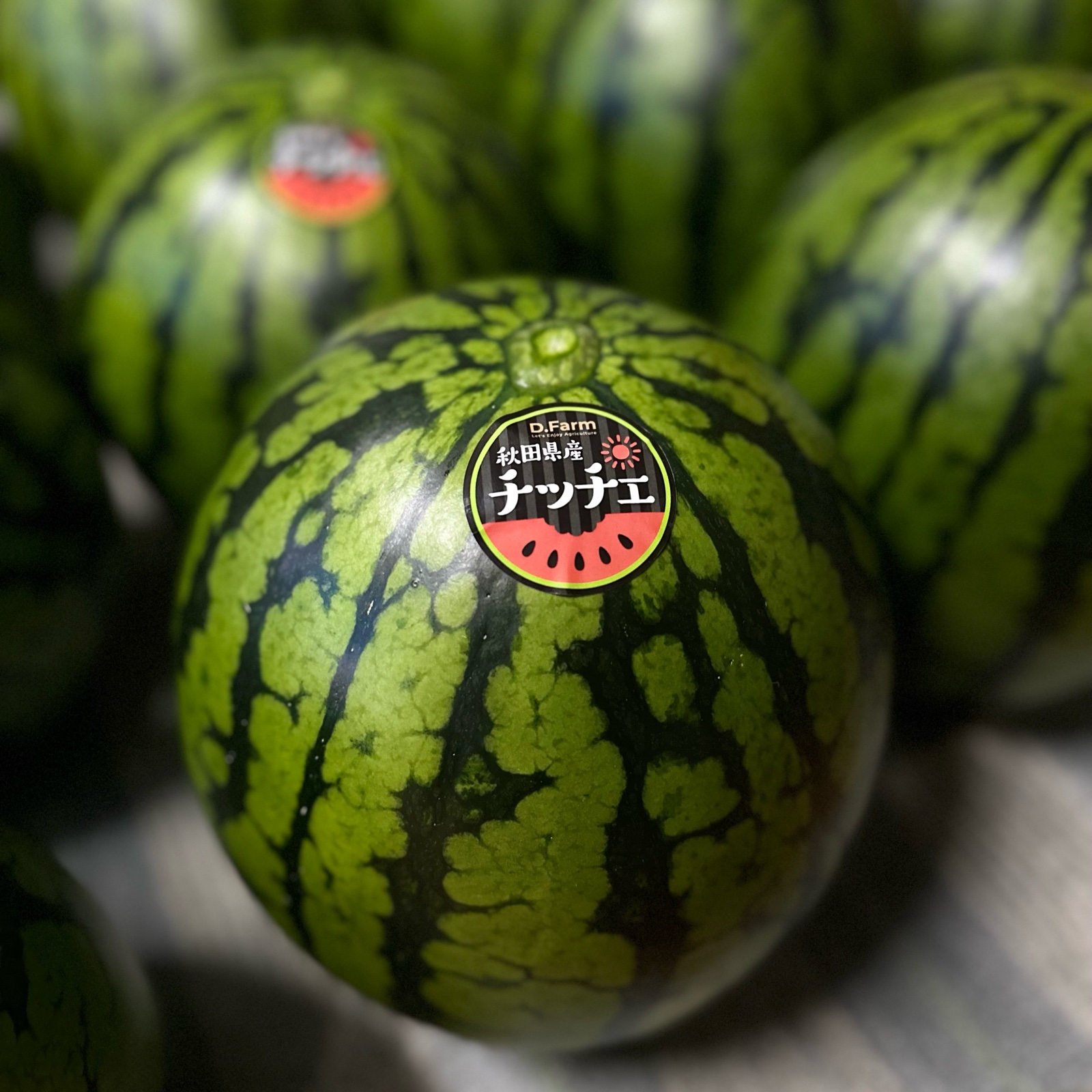 L-2L】あきた夏丸チッチェ 1玉 ｜ 果物/スイカ 産直アウル 農家・漁師