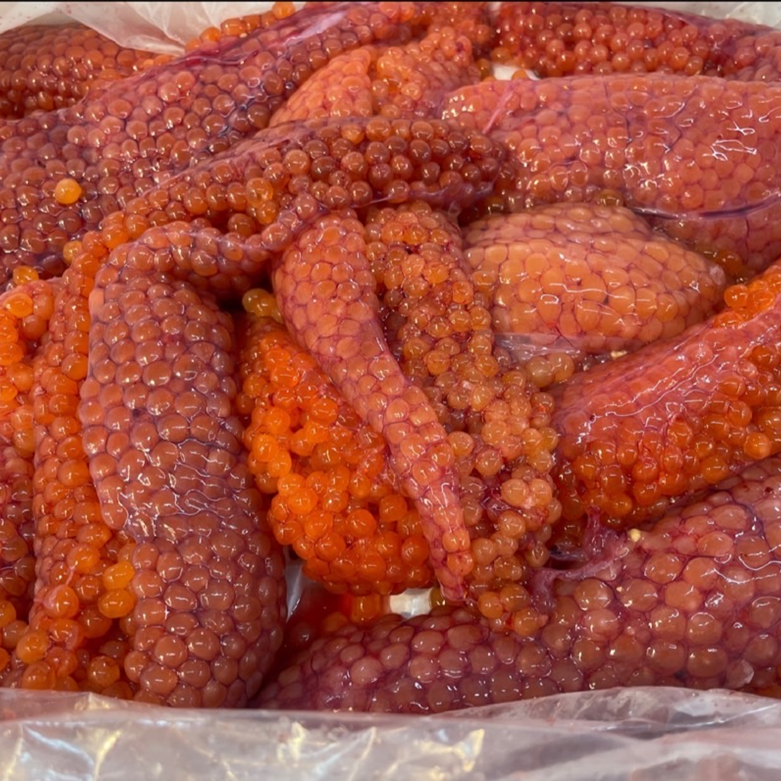 北海道産 新物 秋鮭生筋子1kg ※9月から水揚げ次第順次
