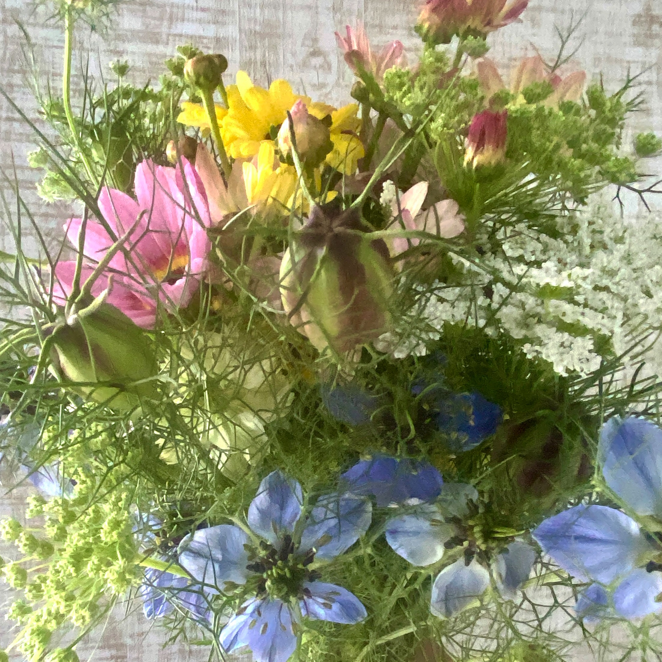 モリモリお任せ20本以上】田舎のフラワーガーデンに咲いている旬のお花