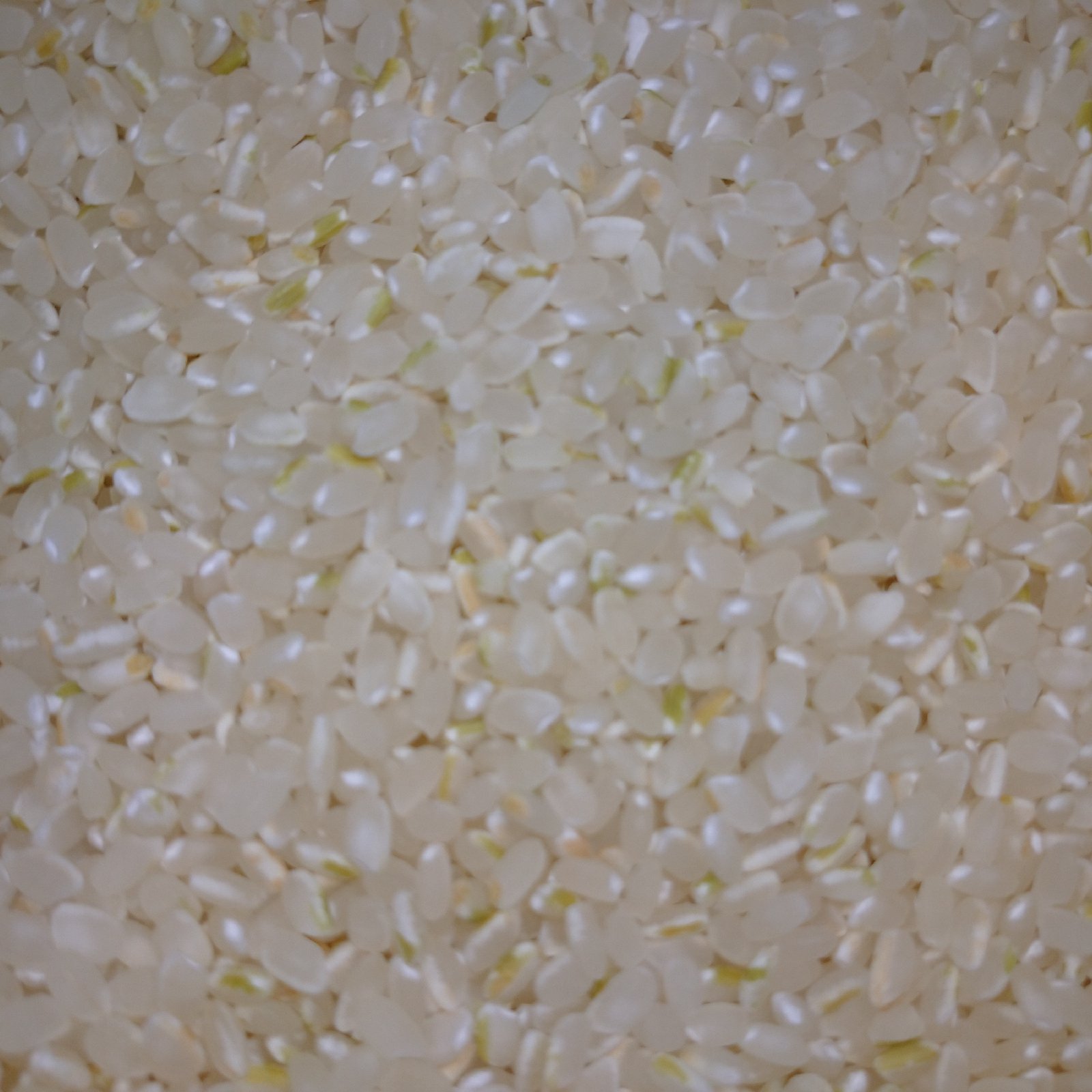 令和6年収穫分 香川県産コシヒカリ | 米・穀物/米/精米 産直アウル