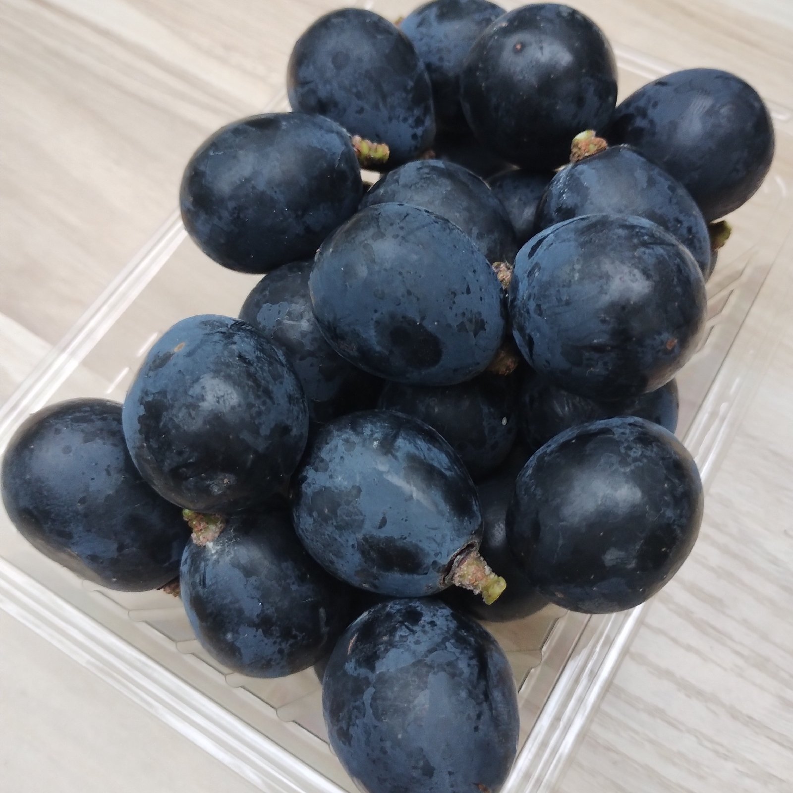ナガノパープル粒パック 1.4kg ｜ 果物/ぶどう 産直アウル 農家