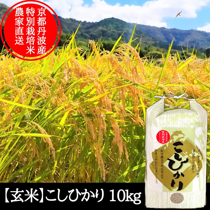 ✨精米１０kg【農薬：栽培期間中不使用】R7年産 高知 コシヒカリ 【農家直送】 コシヒカリ 令和7年産 10kg 特A地区 特別栽培米 新潟産 JAえちご中越