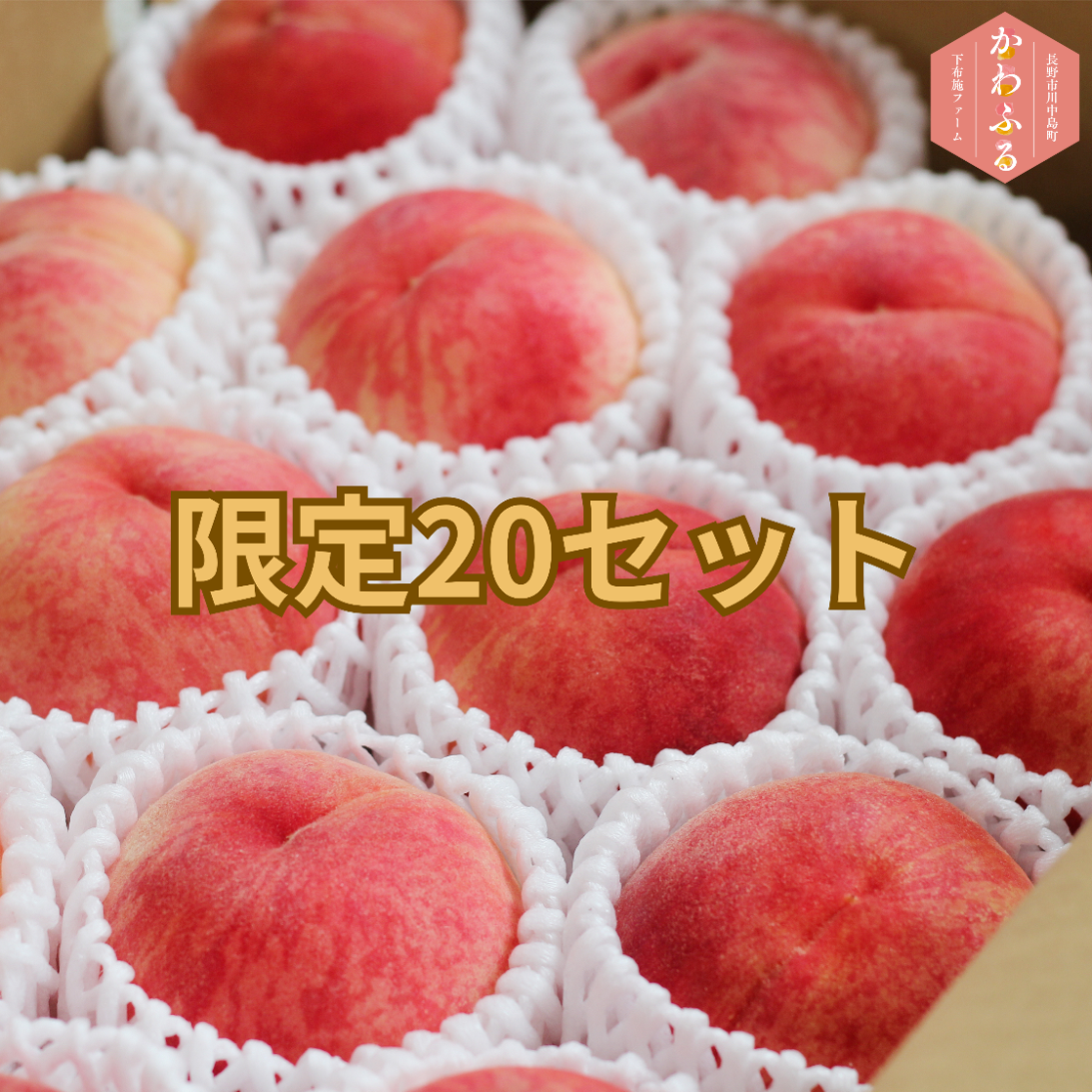キズありお得品】有名品種「川中島白桃」2㎏（5～8玉）原産地・長野