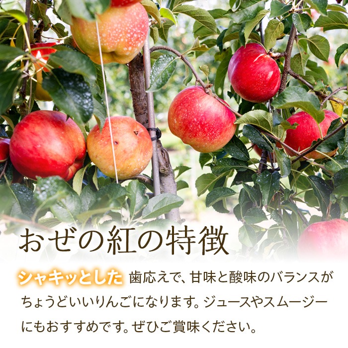 りんご【おぜの紅】約3kg 2026年度予約受付中 香り豊かな初秋のりんご