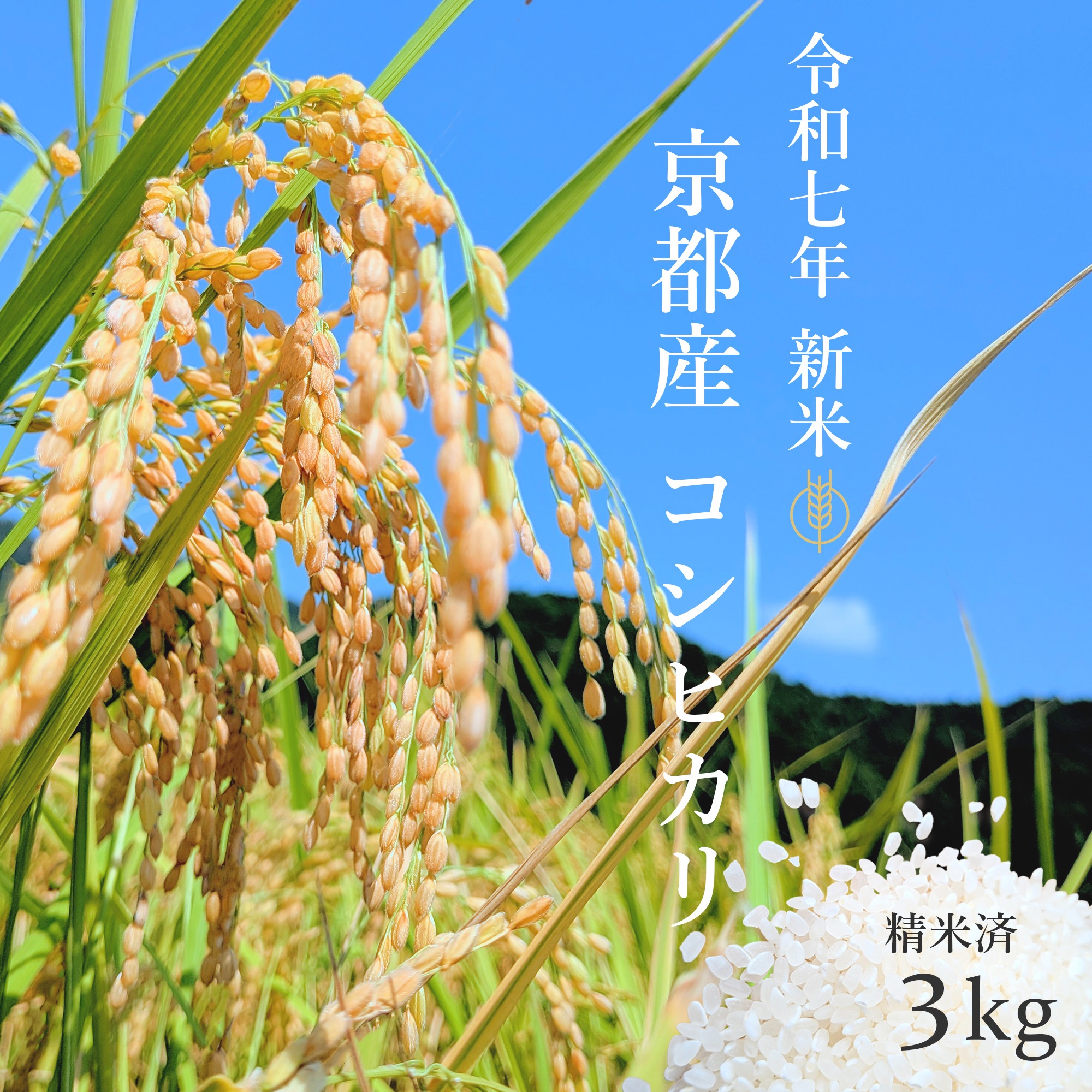 令和7年 新米】京都府産 お米 コシヒカリ 【精米済 3kg】 ｜ 米・穀物
