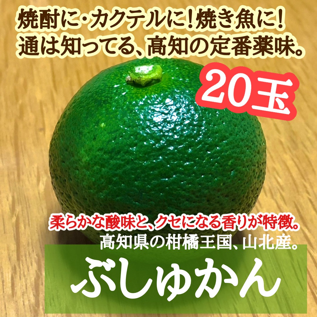 ぽお美's farm（高知県・香南市）｜生産者詳細｜産直アウル