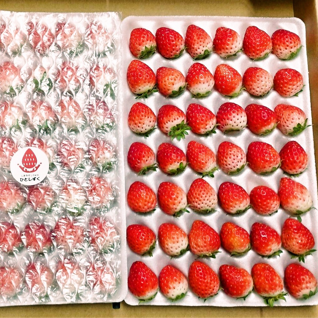 いちご （夏のしずく or なつあかり）42玉×2 青森県産 朝摘み 直送