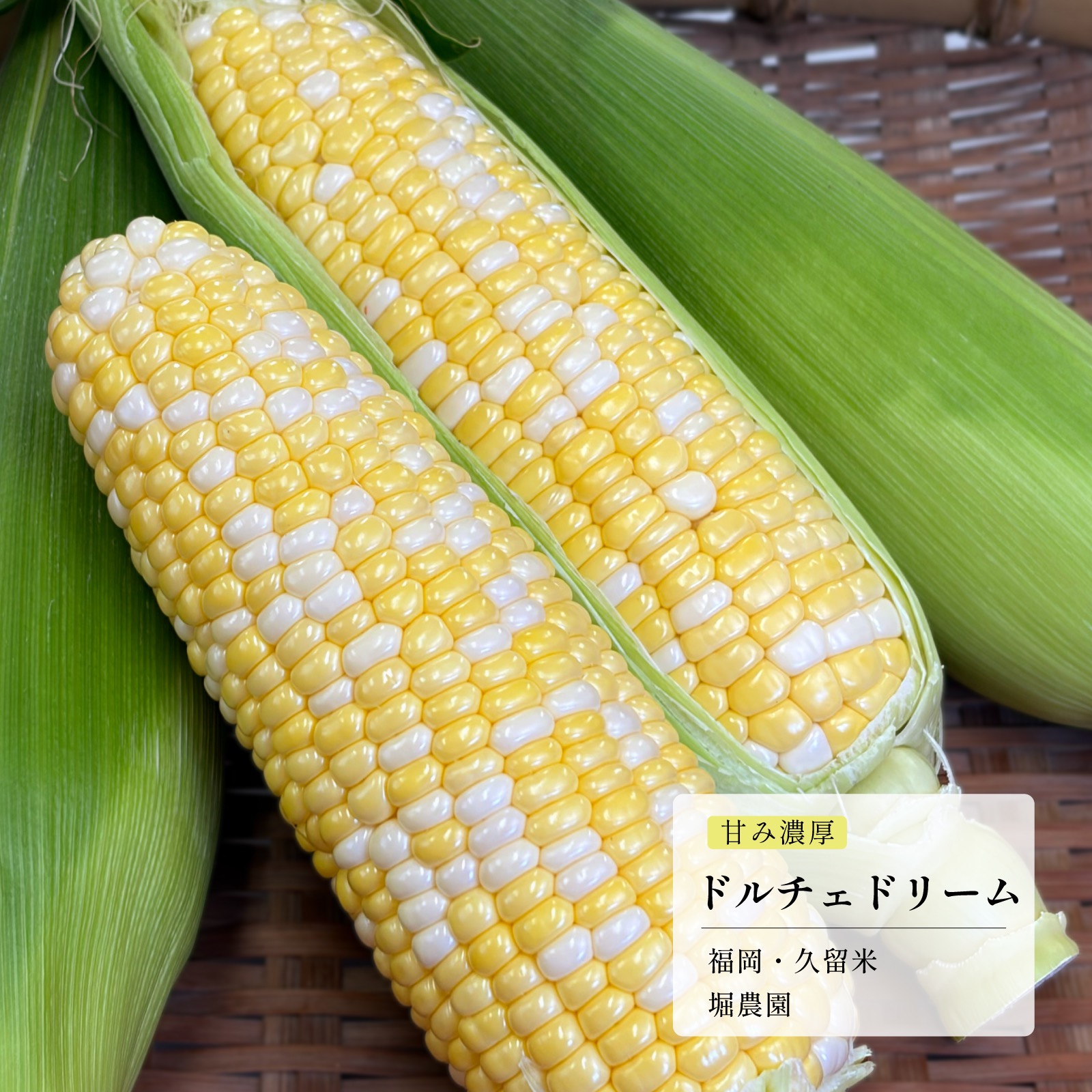 福岡県エコ農産物認定 最高糖度ドルチェドリーム10本〜15本セット4.5 