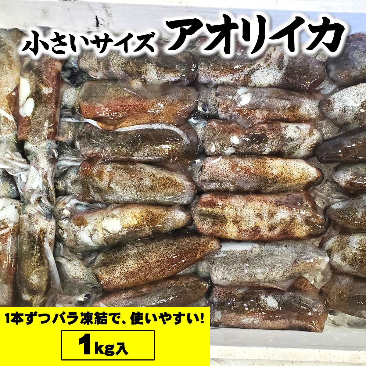 アオリイカ（冷凍）小 1kg詰（5-8杯前後入）サイズ不揃い ｜ 魚介類