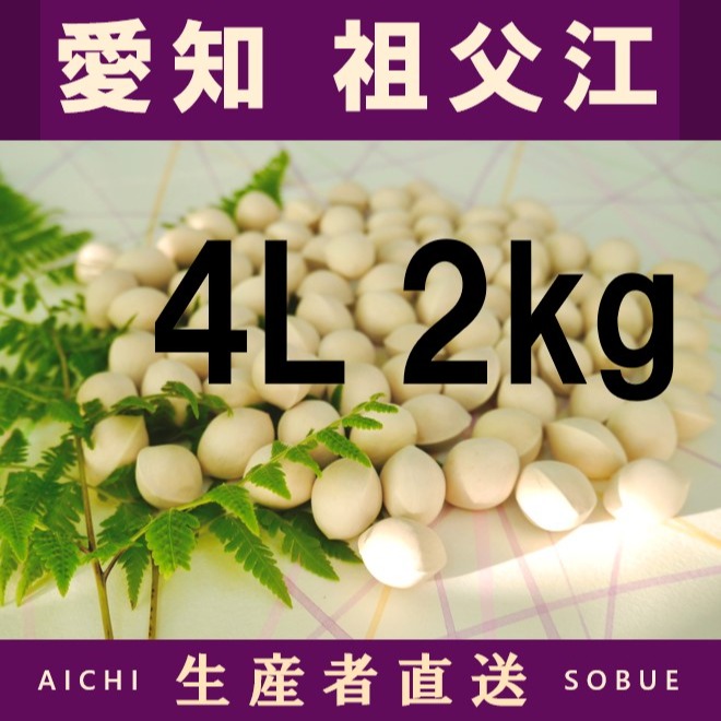 2026年新物 久寿 銀杏 ぎんなん 祖父江産 2L 4kg 2026年新物！ 愛知県 祖父江産 久寿 銀杏 ぎんなん 4L 2kg ☆秋の味覚