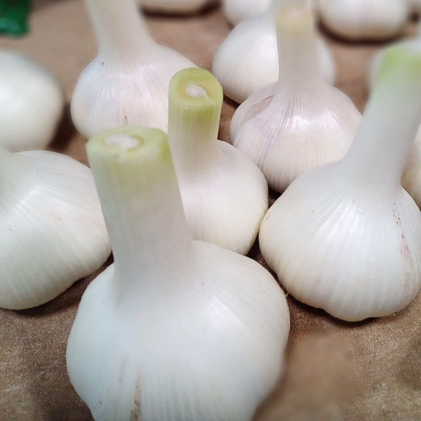 専用出品　農薬未使用　土佐ニンニク2.5kg
