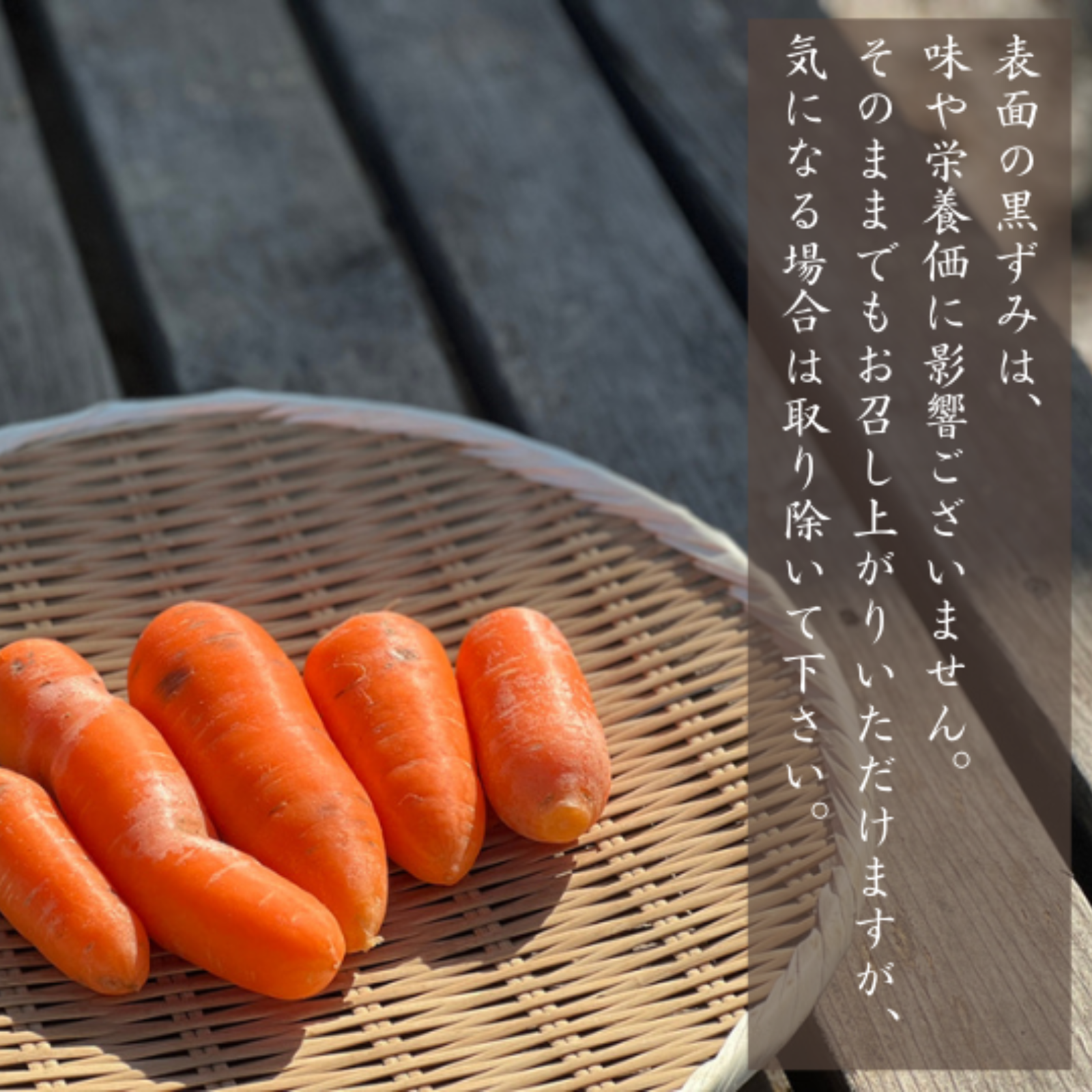 B品】完熟にんじん《9kg》 表面に黒ずみあり ｜ 野菜/人参 産直アウル