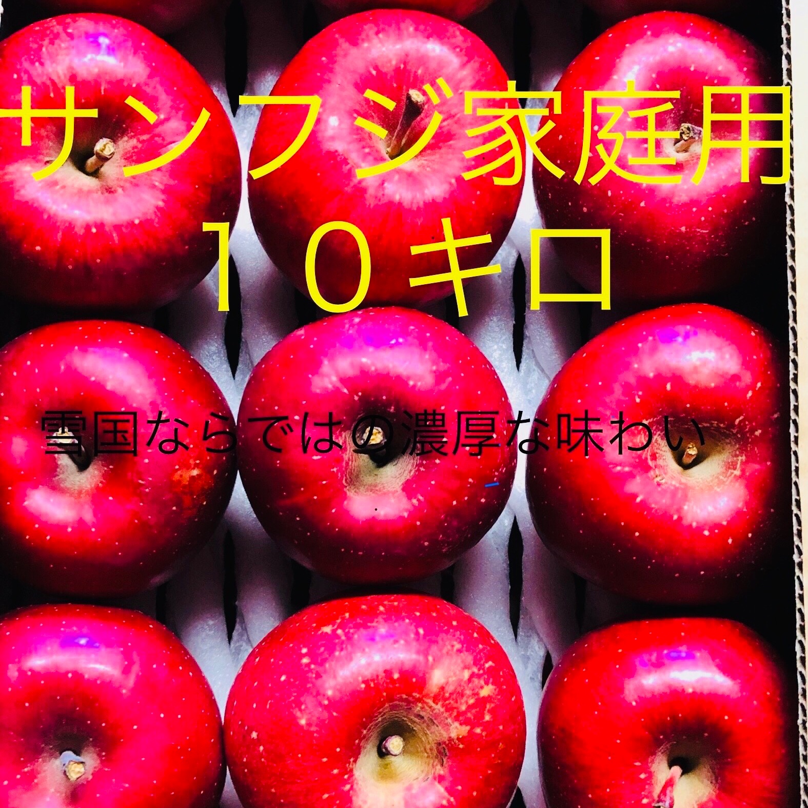 お買い得！訳あり サンフジ約10キロ ｜ 果物/りんご 産直アウル 農家