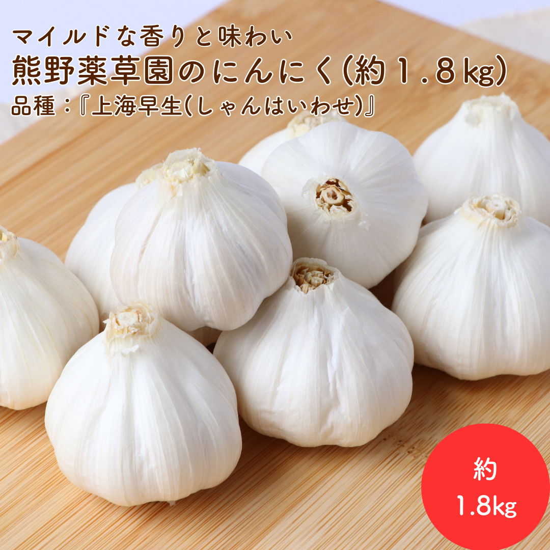 マイルドな香りと味わい♪三重県産にんにく『上海早生(しゃんはいわせ