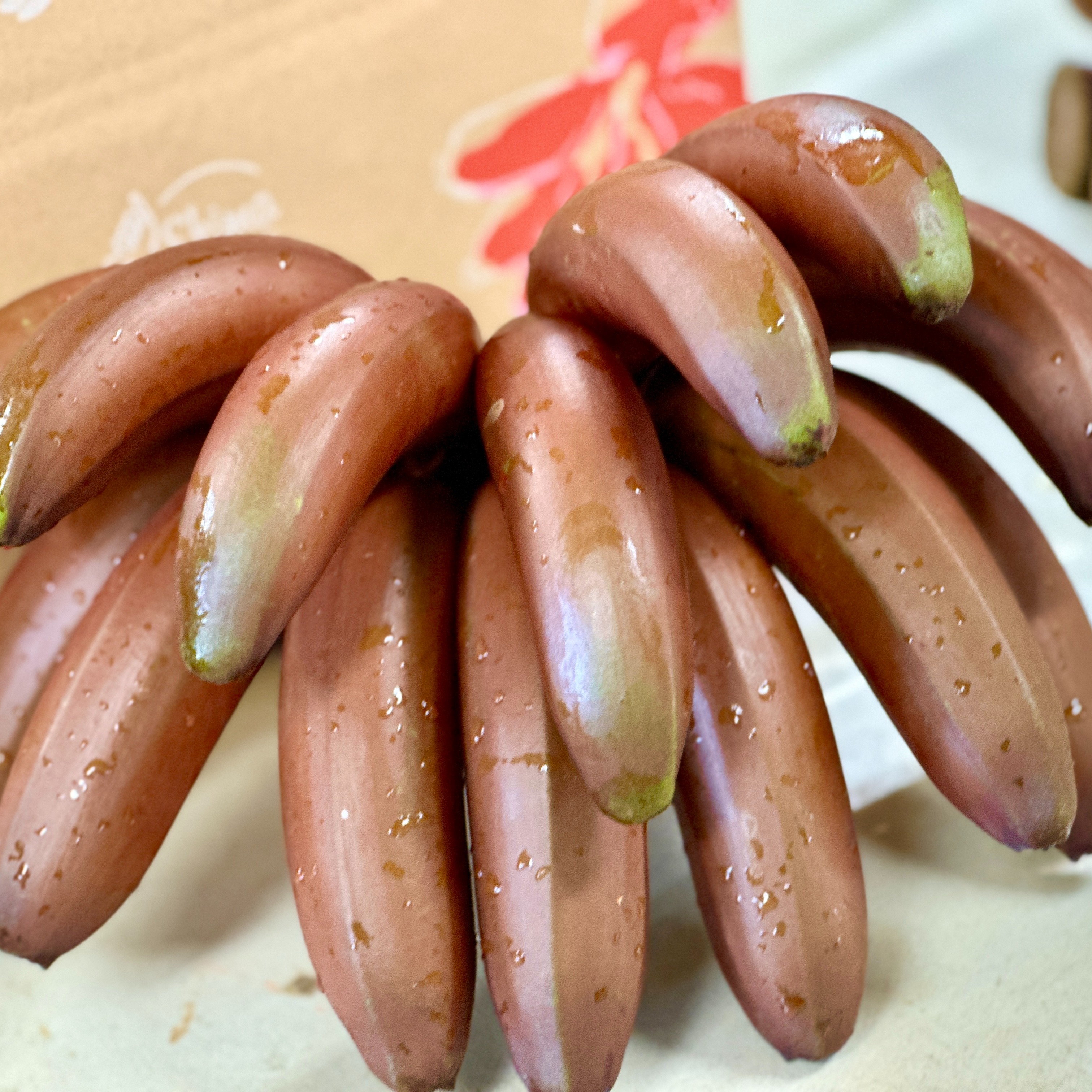 沖縄県糸満産 モラードバナナ 2kg｜赤い果皮の希少バナナ ｜ 果物