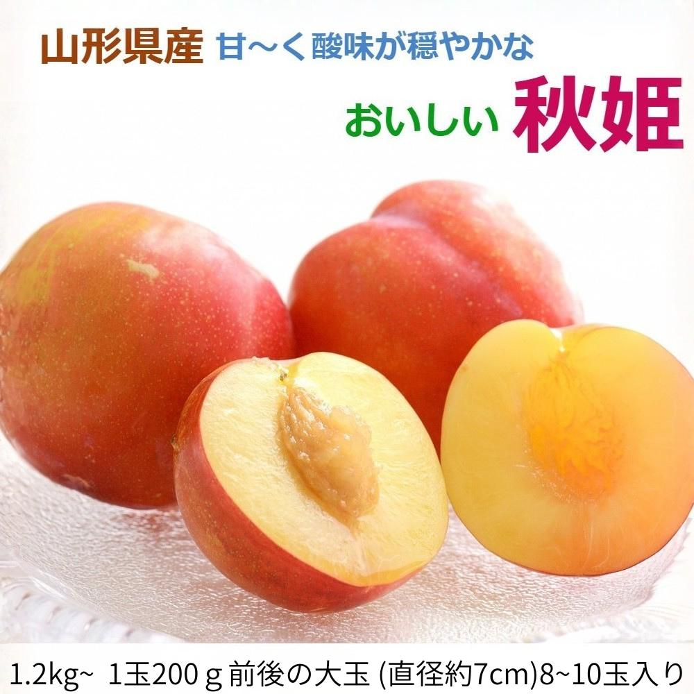 プラム すもも 秋姫 大玉1.2kg以上～ 糖度14度超 秋の果物 酸味が