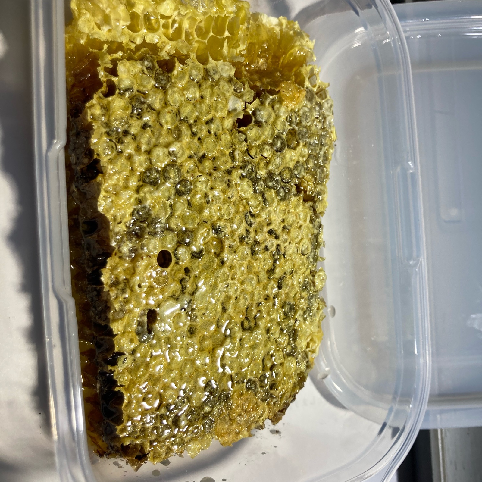 日本ミツバチの巣蜜 230g ｜ はちみつ/はちみつ 産直アウル 農家