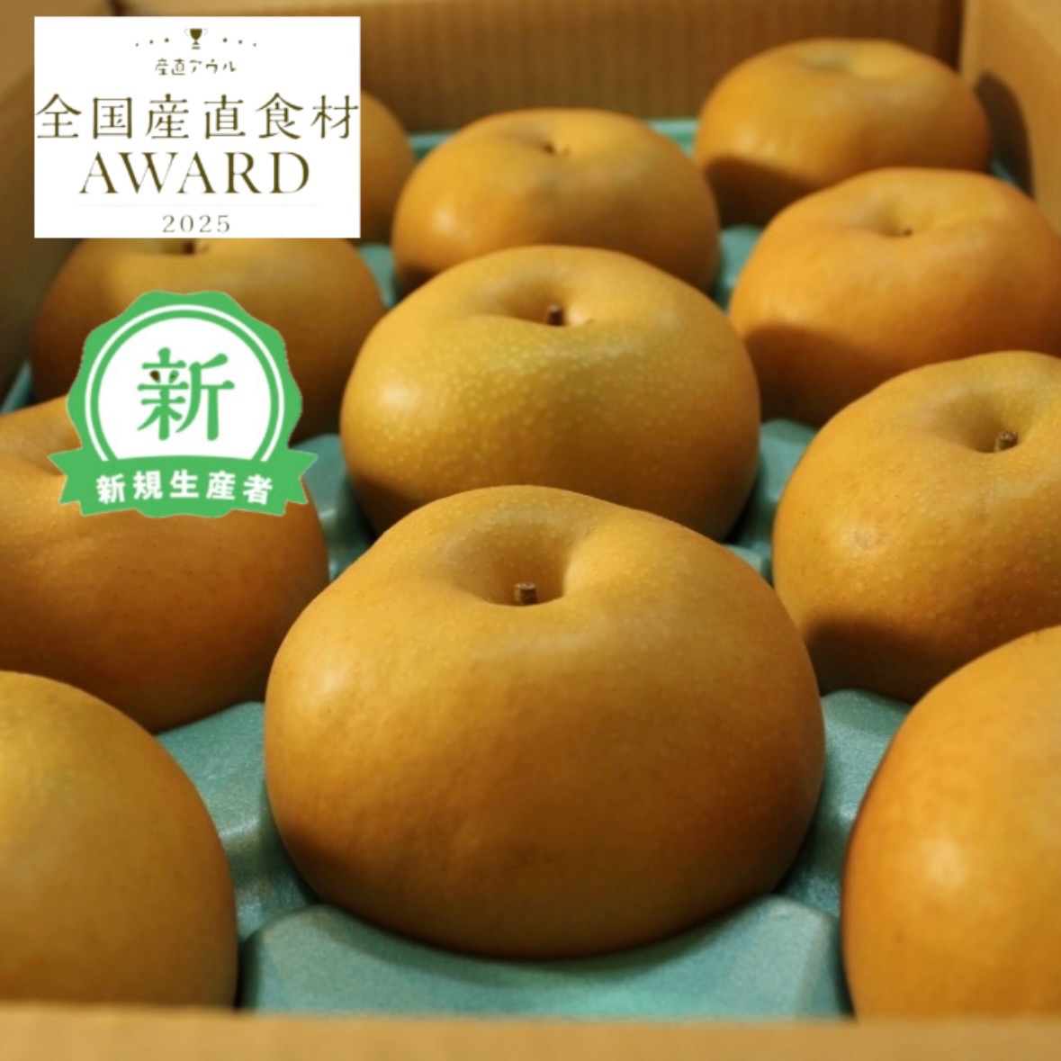 新人賞】家庭用 梨 南水 5kg 長野県産 ｜ 果物/梨 産直アウル 農家