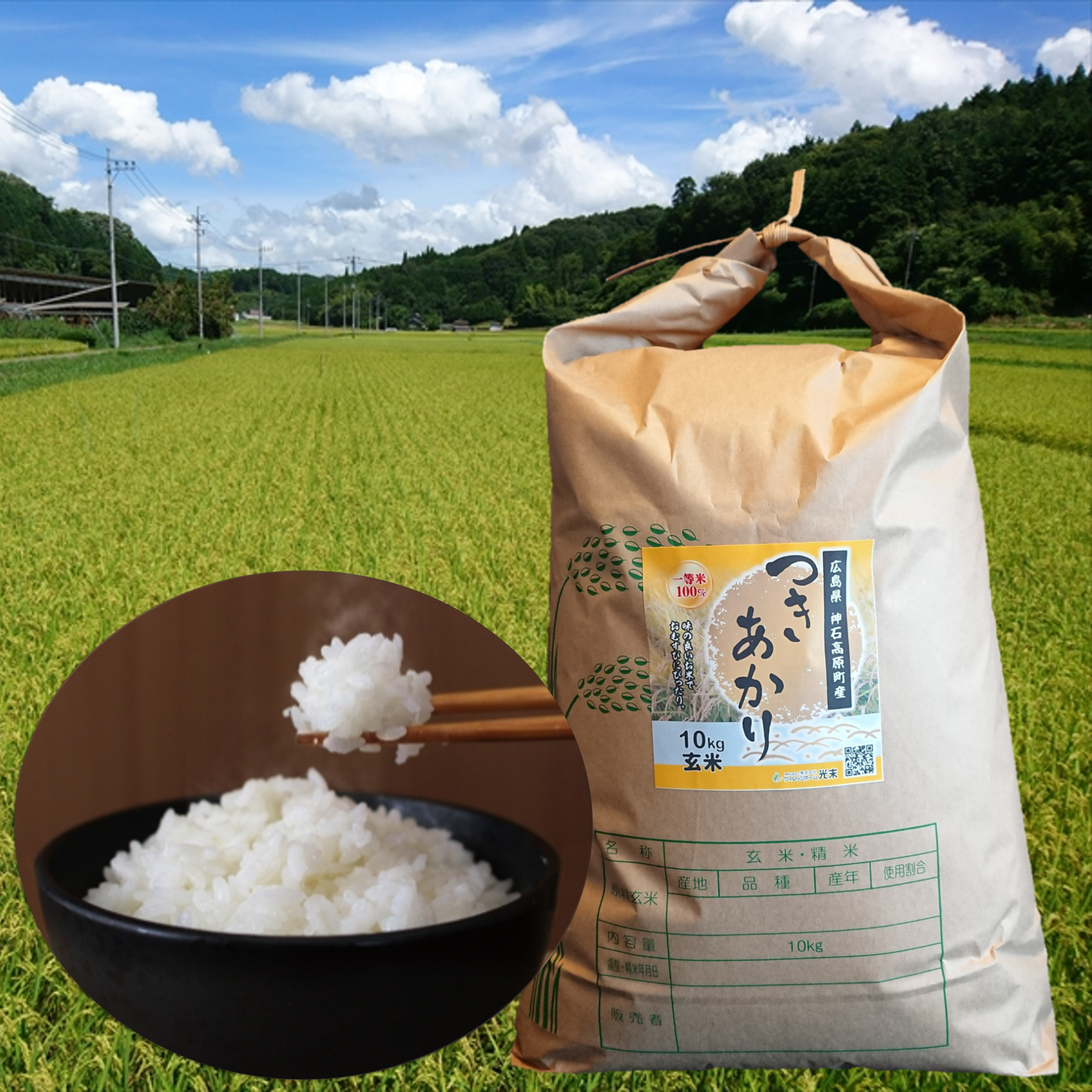 毎日ごはんに】うま味しっかり、冷めてもおいしい｜つきあかり玄米10kg