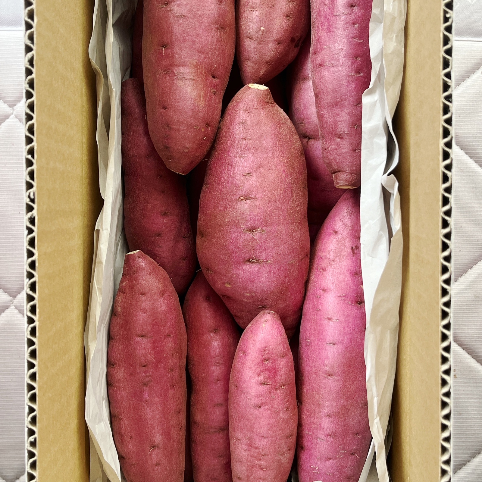 むっちりホクホク‼︎新品種「栗かぐや」 ｜ 野菜/さつまいも 産直