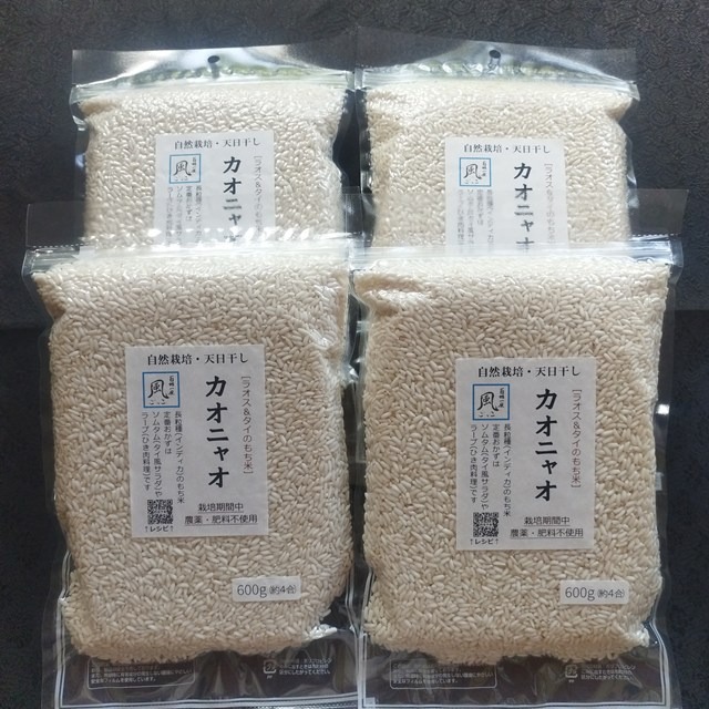 無肥料・自然栽培の長粒もち米 カオニャオ（精白米/R7年産）2.4kg 