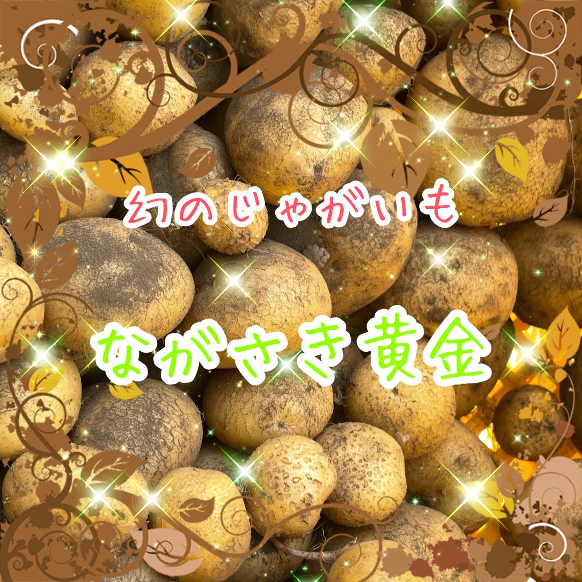 ながさき黄金1.5キロ ｜ 野菜/じゃがいも 産直アウル 農家・漁師など