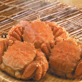 北海道ボイル毛ガニ4kg詰（10-13尾入） | 魚介類/カニ 産直アウル