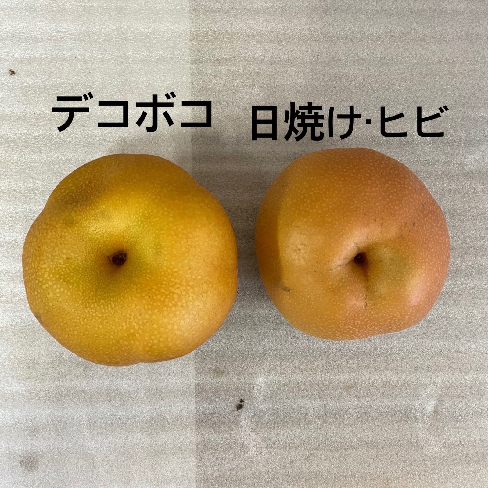 長野県産【南水】自家用大玉5.5キロ ｜ 果物/梨 産直アウル 農家・漁師