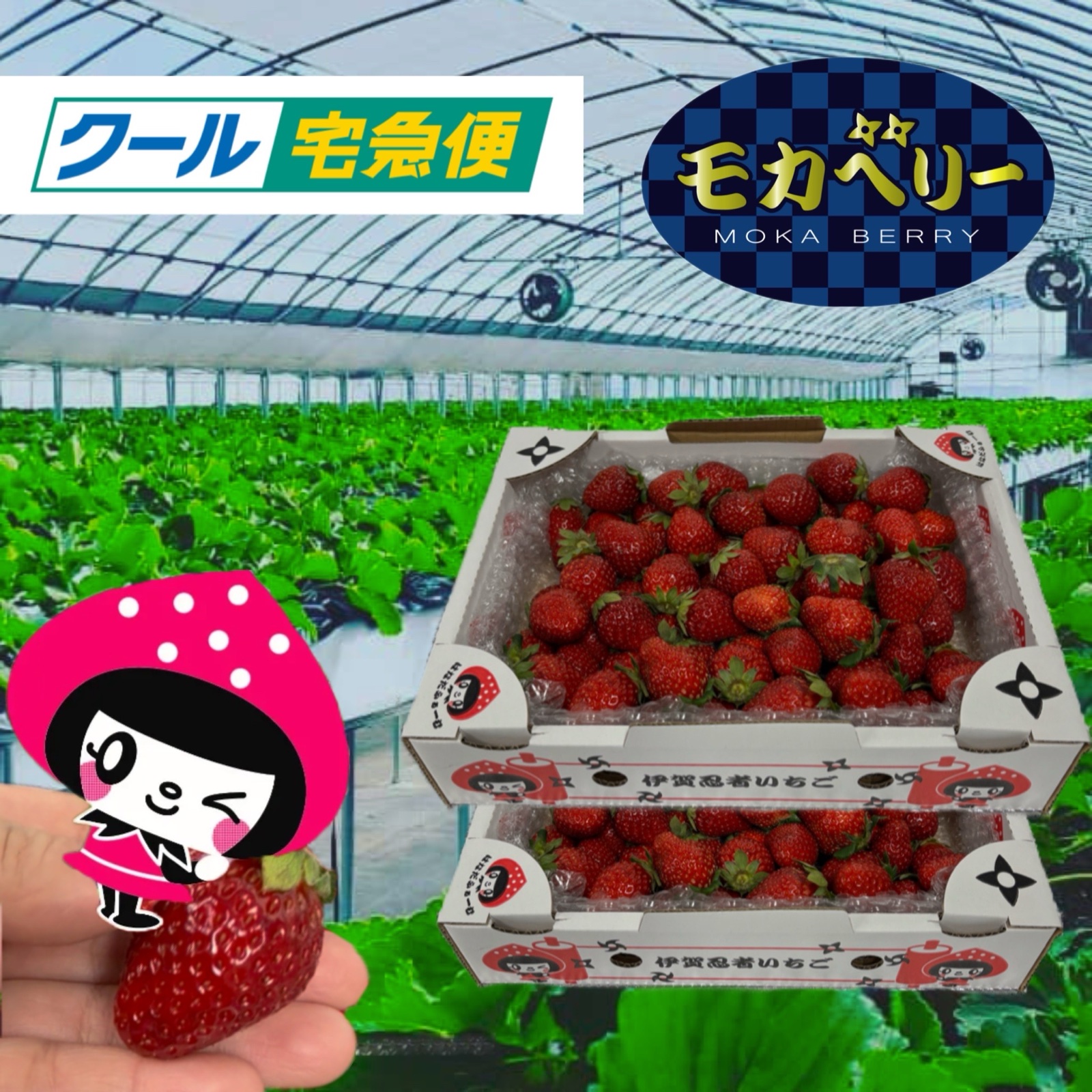 はなだふぁーむ（三重県・伊賀市）｜生産者詳細｜産直アウル