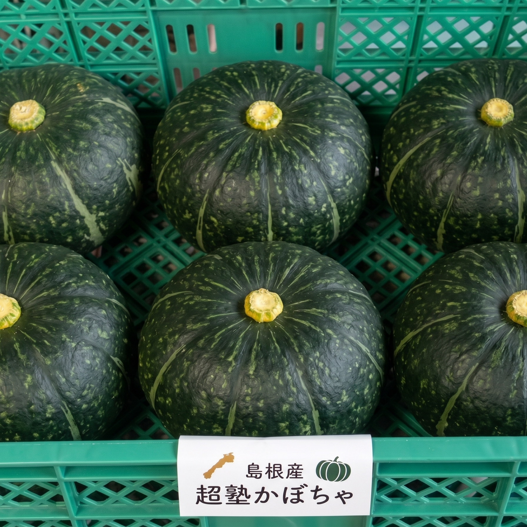 農家直送 島根県産大玉かぼちゃ 甘くてコク深い ｜ 野菜/かぼちゃ 産直