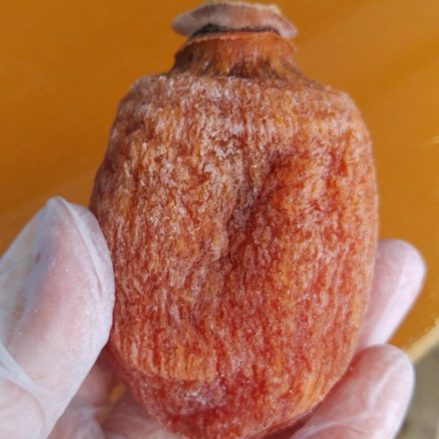 3Lサイズ8個 富山県産三社柿の大玉干し柿訳ありでお買い得 | 加工品