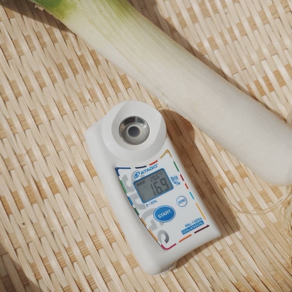 糖度15度以上 千葉県産 長ネギ 甘い 美味い 60本 2L以上 | 野菜/ねぎ