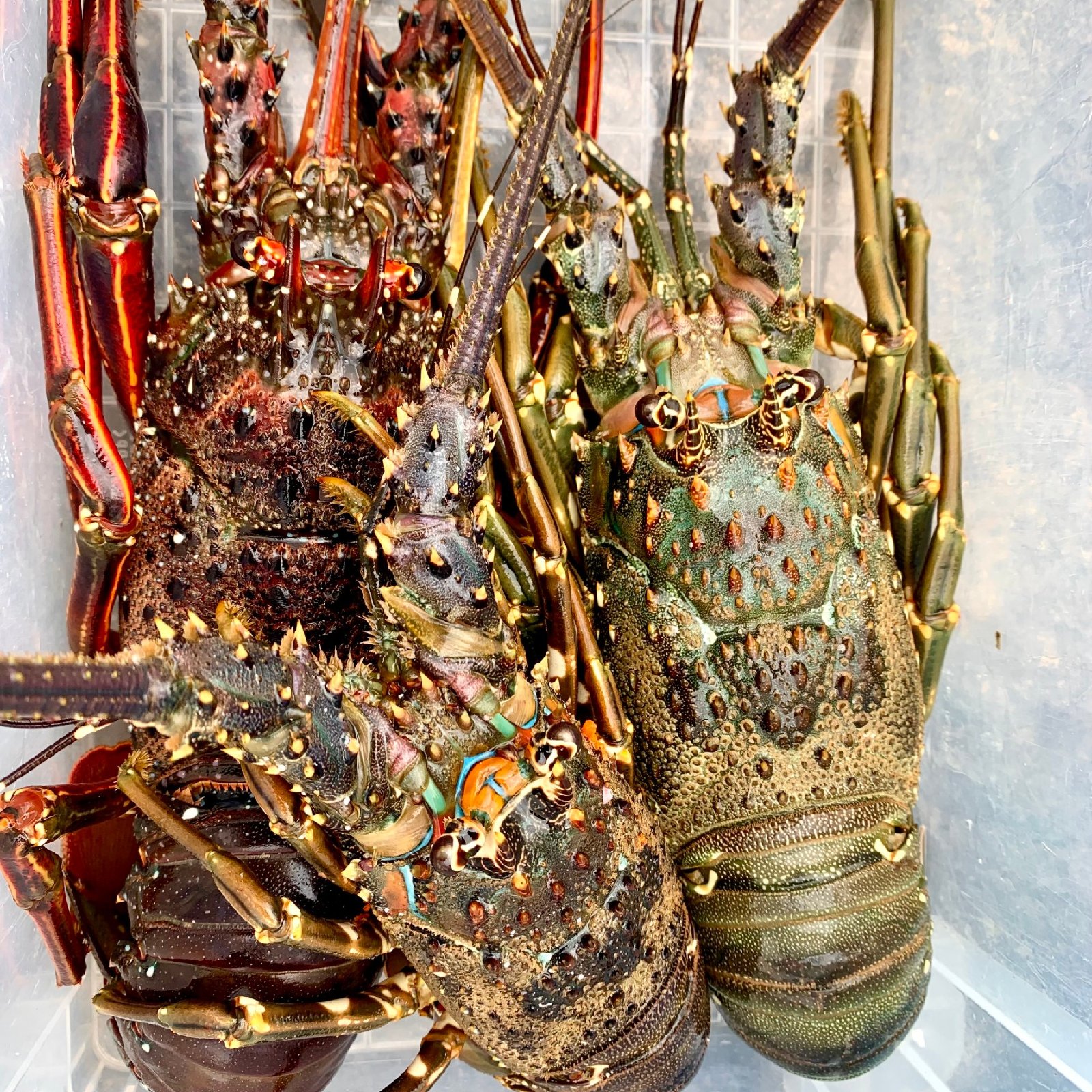 28a50842b03b7f3c0e3281e02c020a