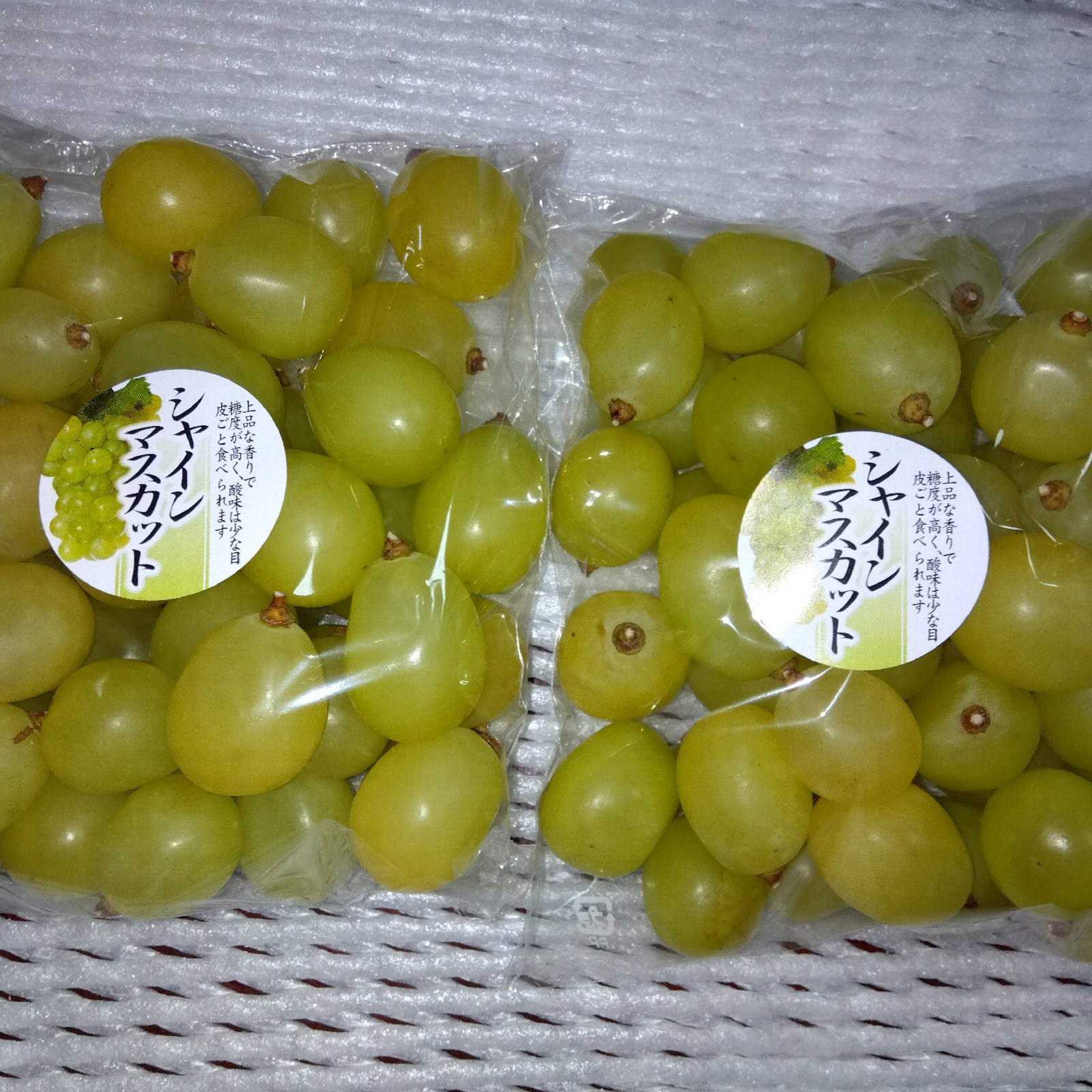 完熟に近づき黄色多め！訳あり岡山県産 粒 シャインマスカット【1kg