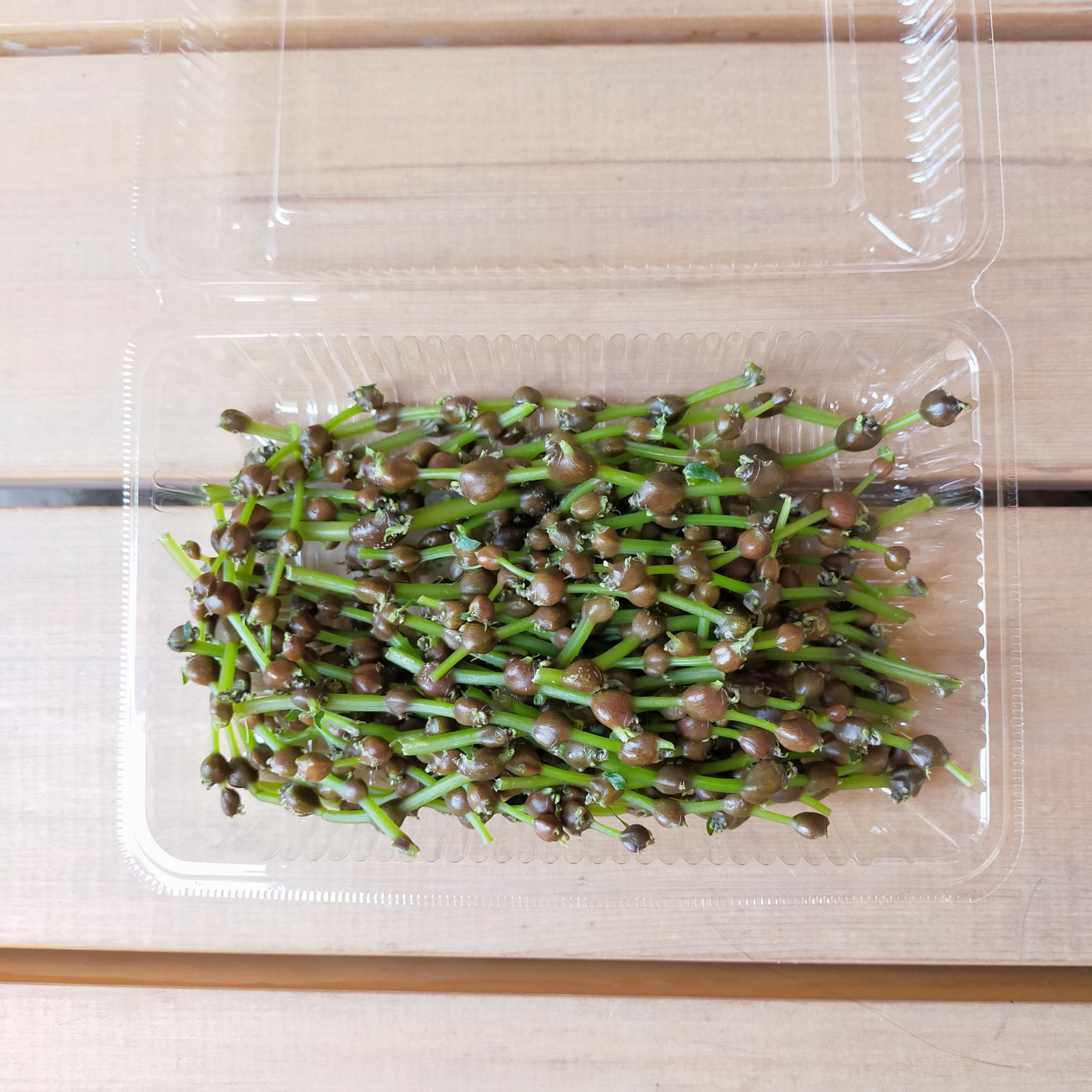 ミズ（野菜＞山菜）の産地直送商品一覧（通販・お取り寄せ）-産直アウル