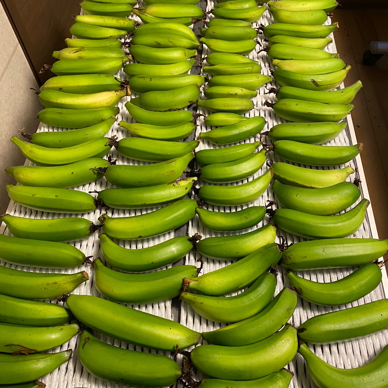 バナナ葉5kg約 訳あり品 房総バナナ 5kg | 果物/バナナ 産直アウル 農家から直接野菜