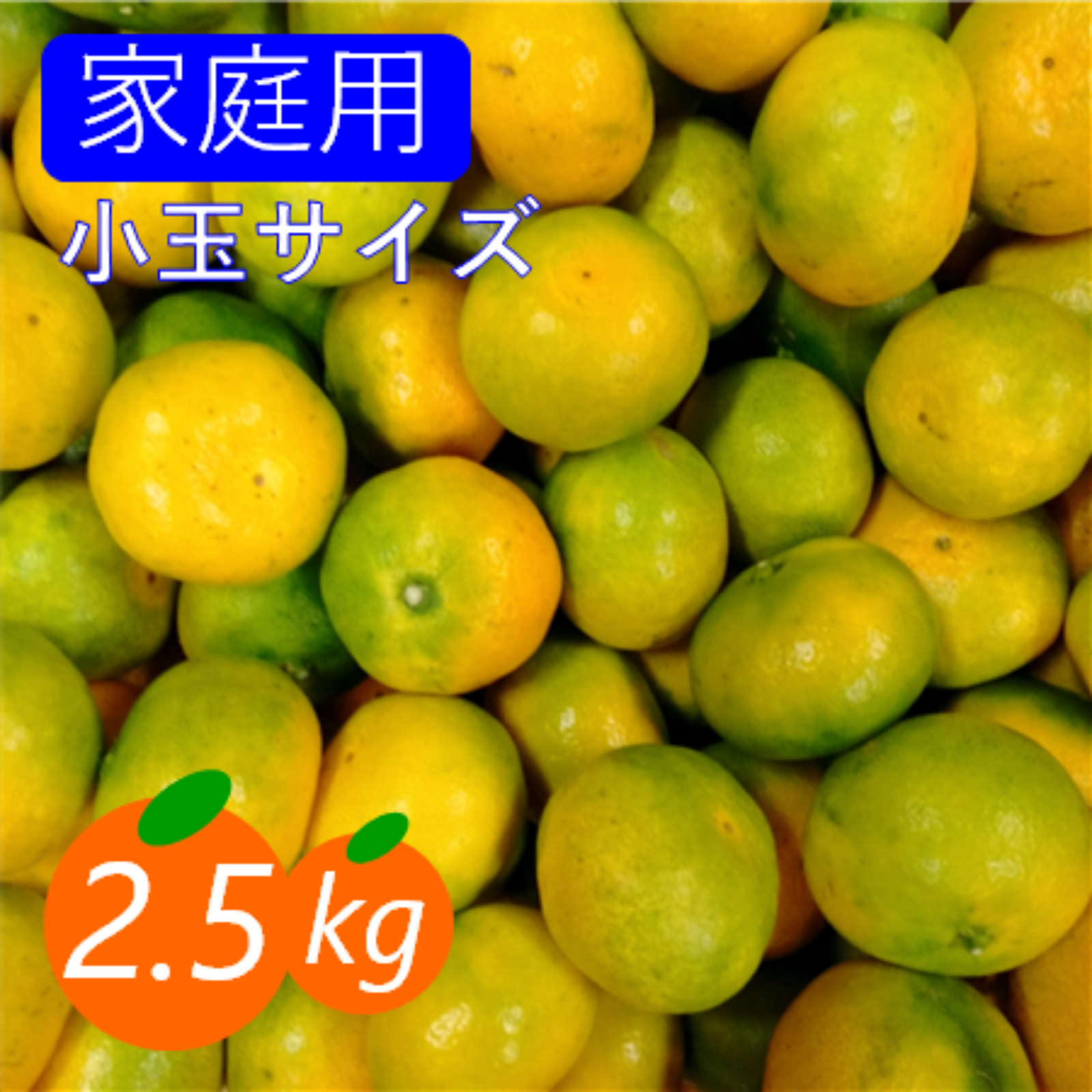 ⑨熊本県産極早生みかん 正味2kg - 果物