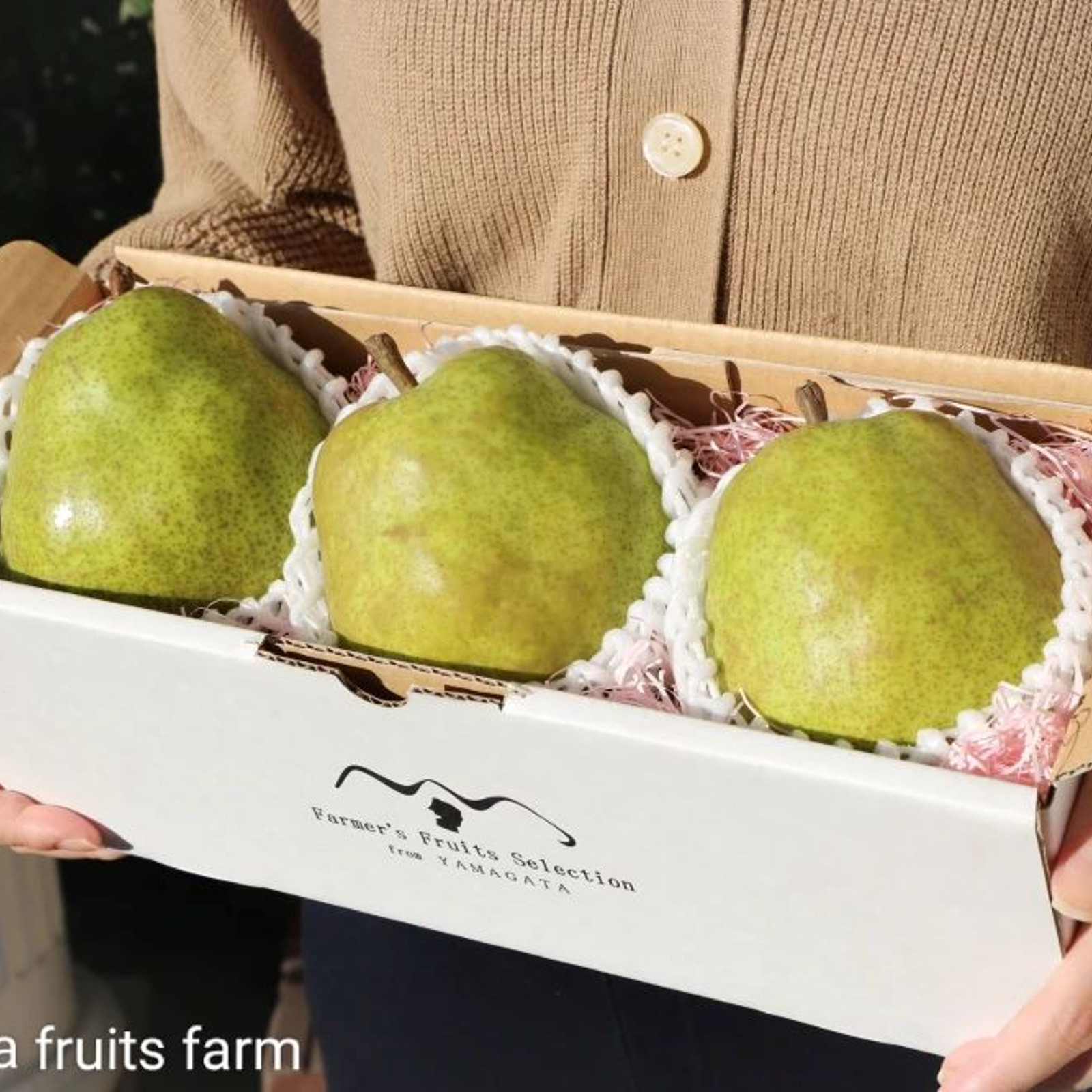 大玉ギフトBOX】 山形県産 特秀ラフランス 5L 3玉セットラフランス